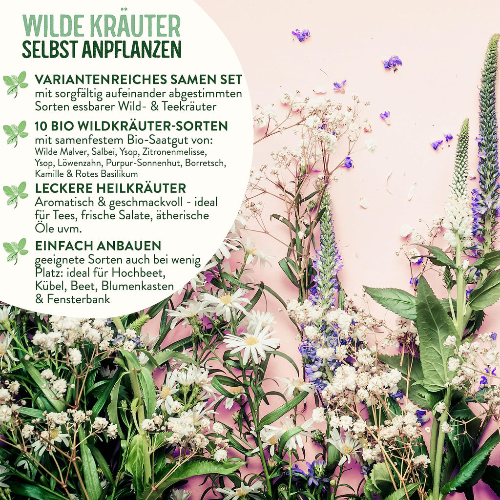 BIO Wildkräuter Samen Set