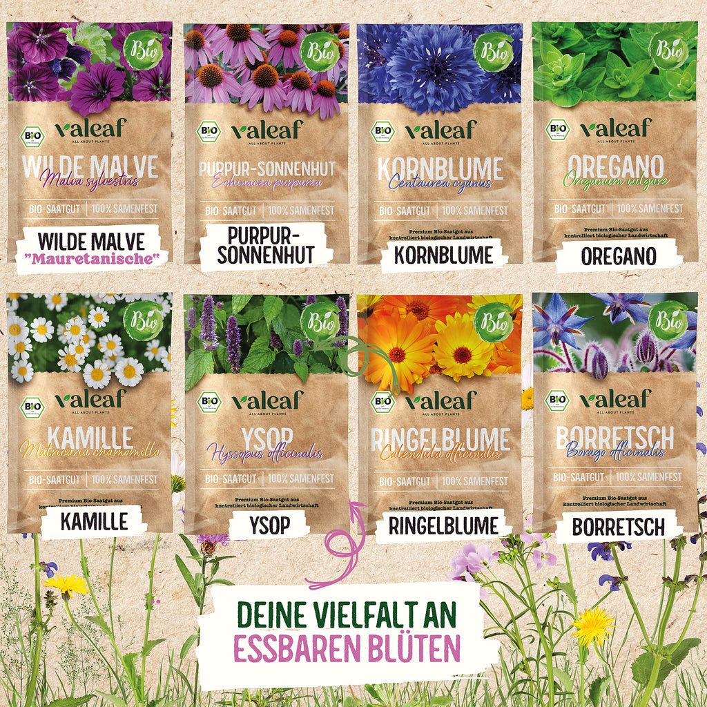 BIO Essbare Blüten Samen Set