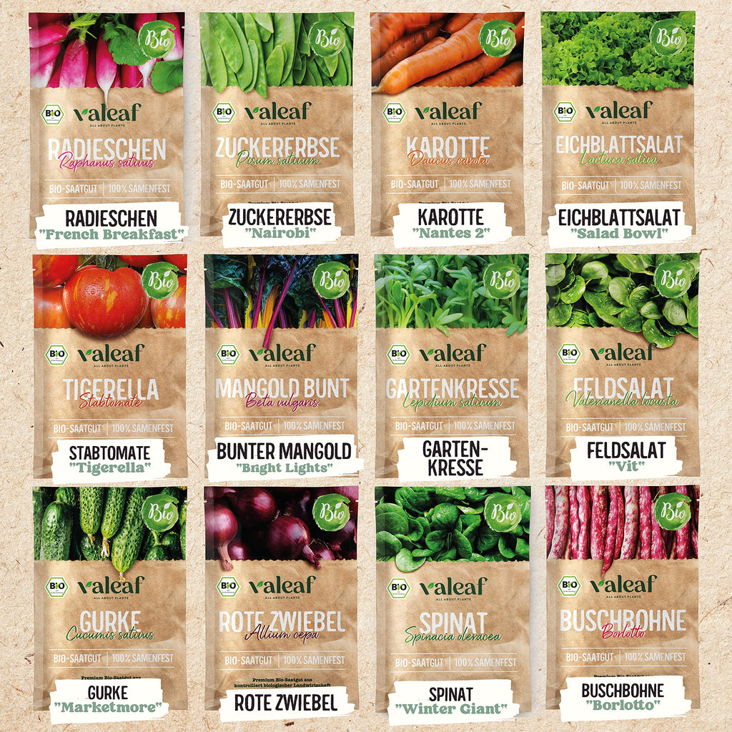 BIO Gartenjahr Samen Set