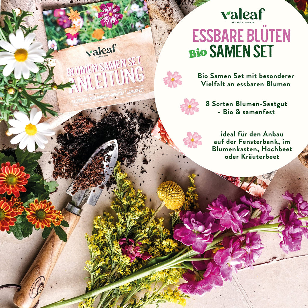 BIO Essbare Blüten Samen Set