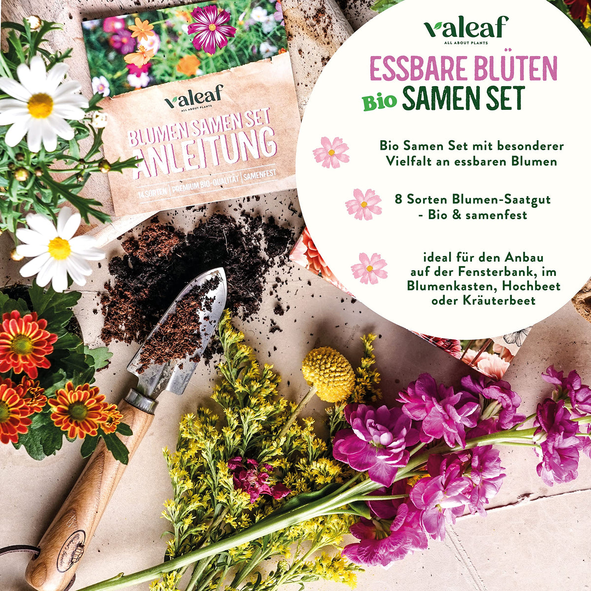 BIO Essbare Blüten Samen Set