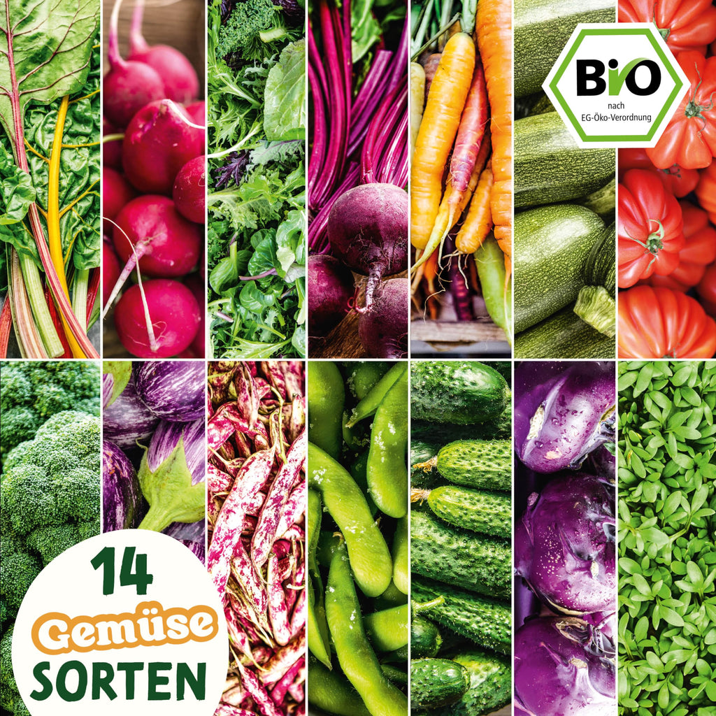BIO Gemüse Samen Set