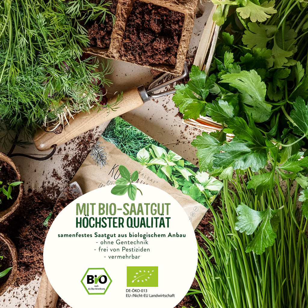 BIO Kräuter Samen Set