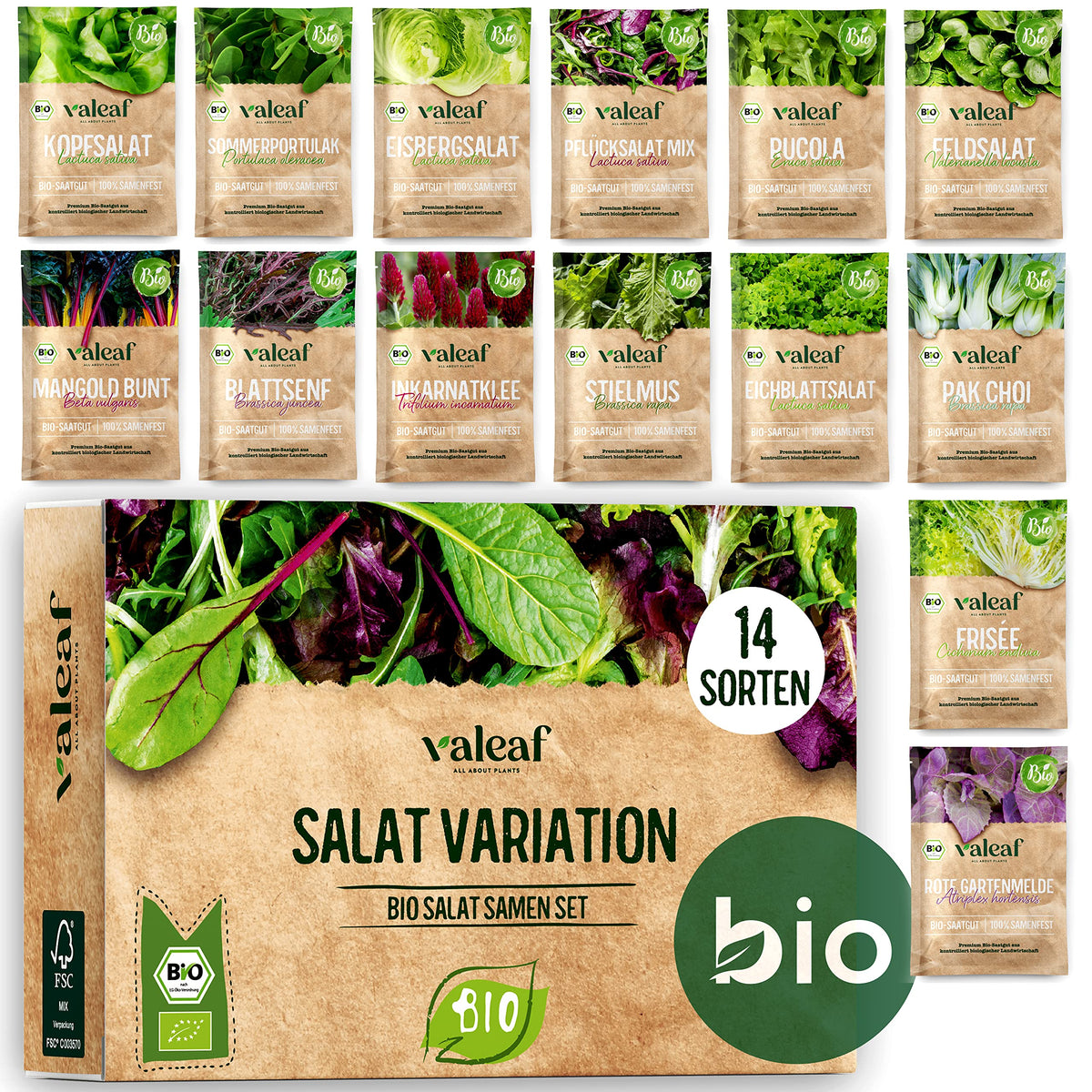 BIO Salat Samen Set
