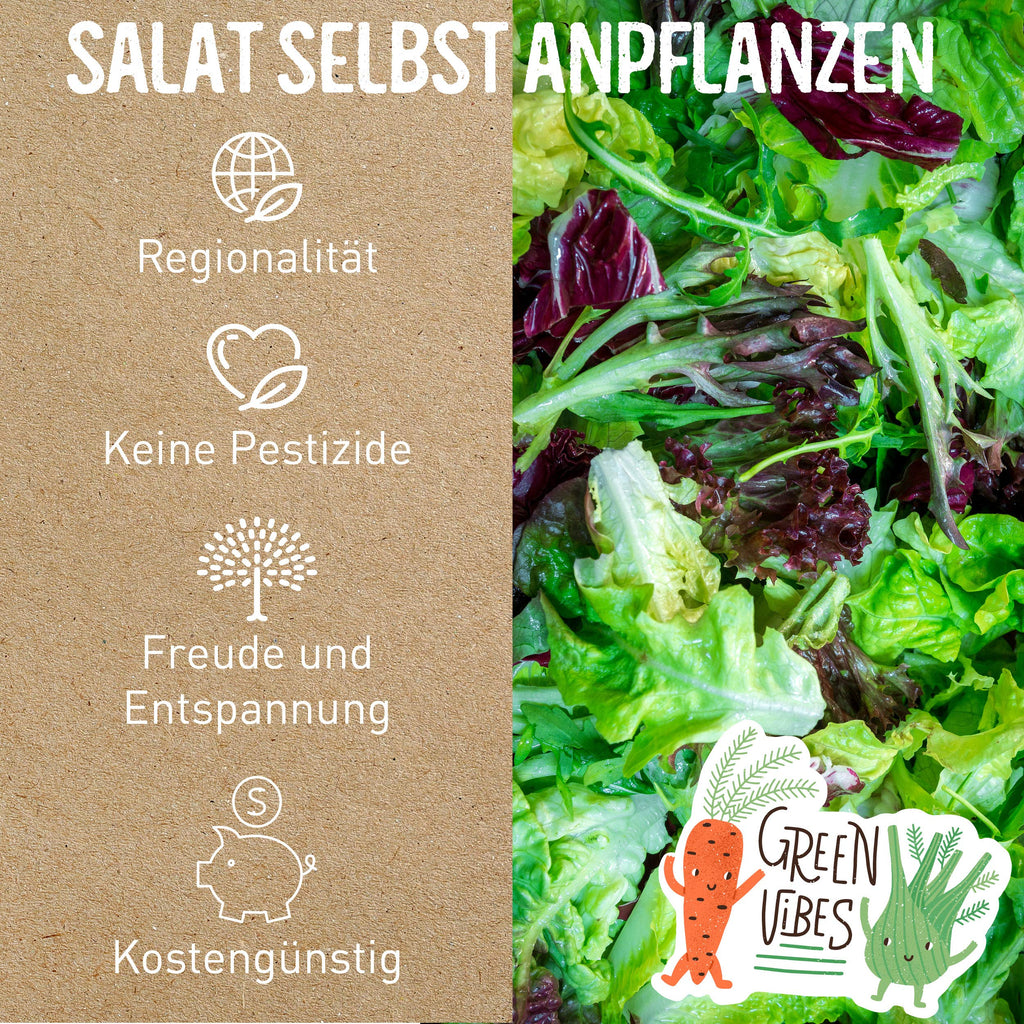 BIO Salat Samen Set