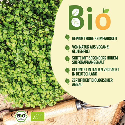 BIO Brokkoli Keimsaat