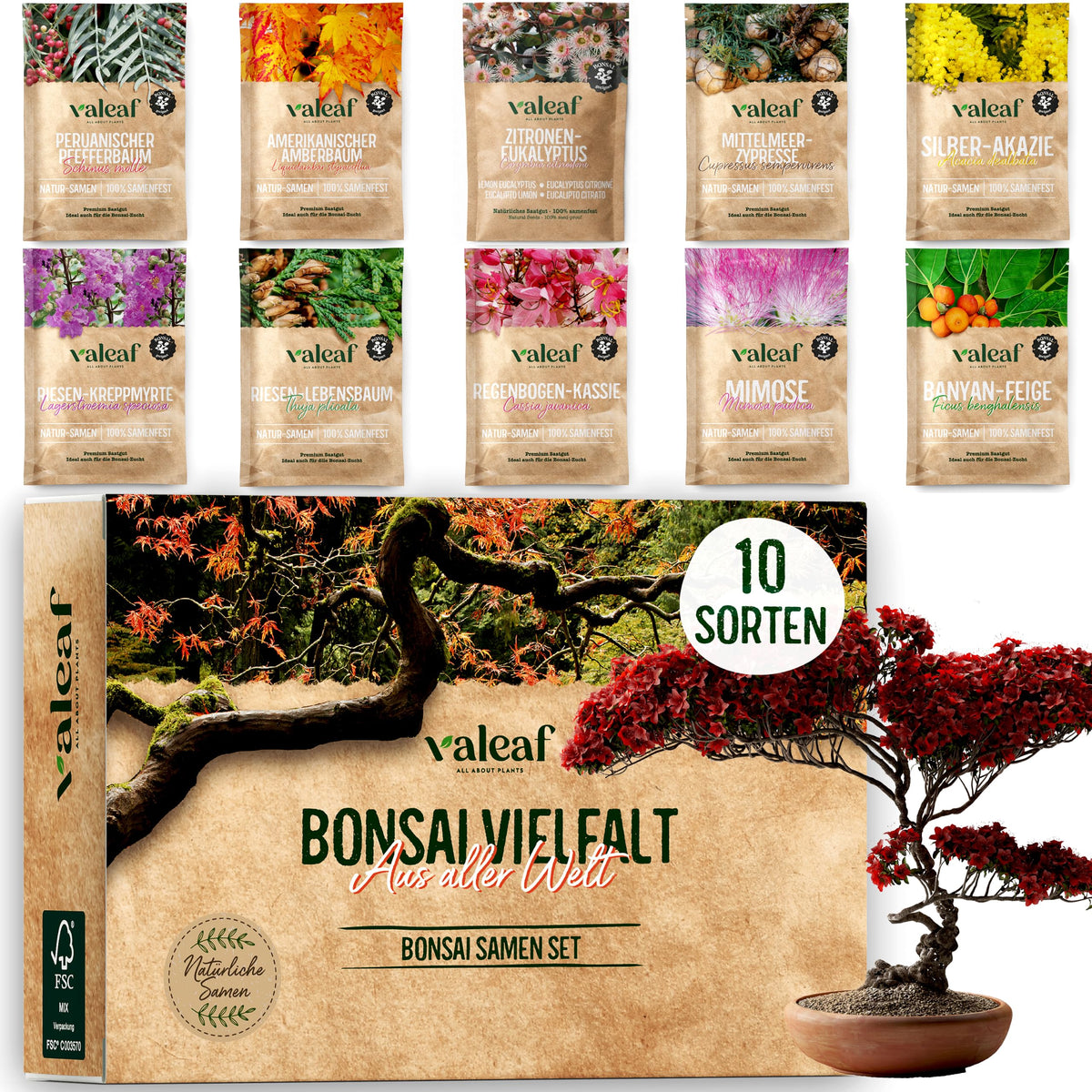 Bonsai Samen aus 5 Kontinenten