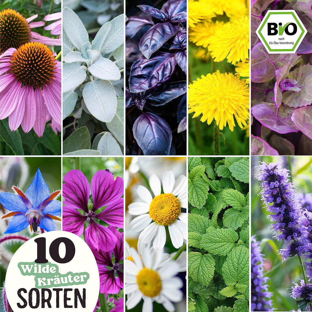 BIO Wildkräuter Samen Set