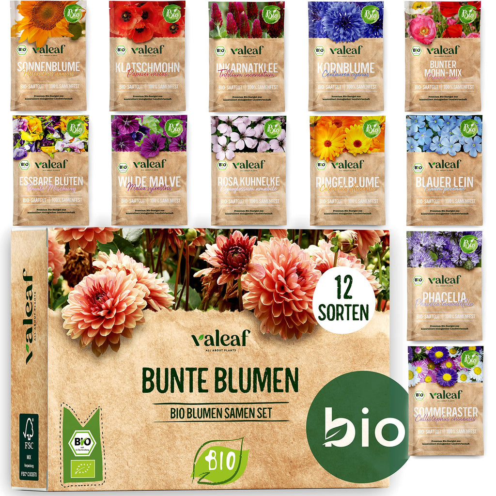 BIO Blumen Samen Set – Bunte Blumen