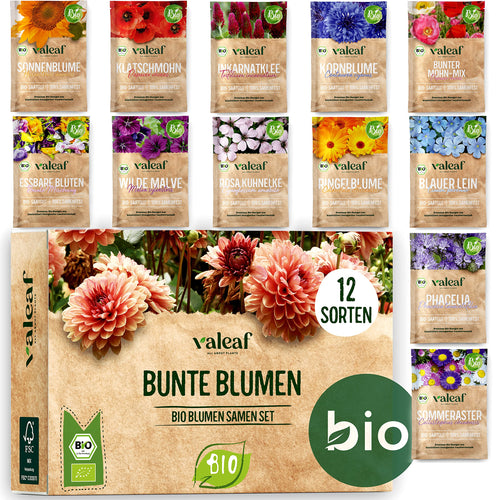 BIO Blumen Samen Set – Bunte Blumen