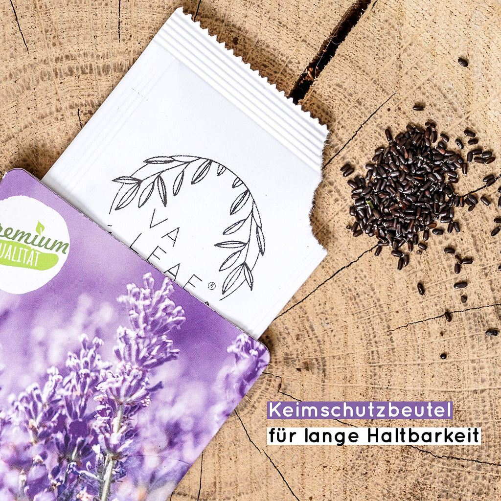 BIO Lavendel Samen
