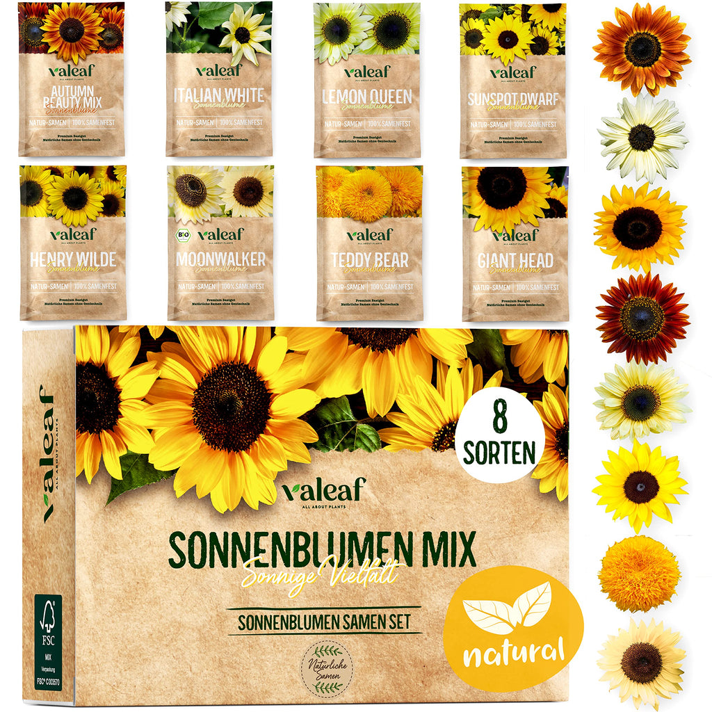 Sonnenblumen Samen Set