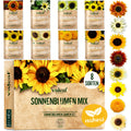 Sonnenblumen Samen Set
